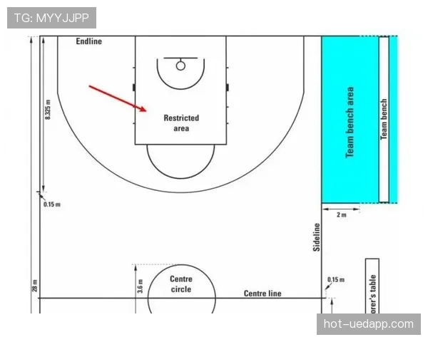 揭秘篮球三秒规则的国际差异：FIBA与NBA的规则细节解析