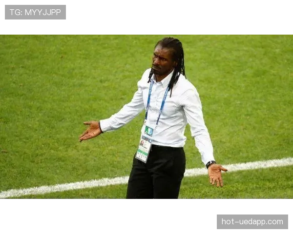 塞内加尔为何被看好成为黑马 塞内加尔为何被看好成为黑马